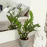 Stylish 2bdr Unit In Sliema! Near Valletta Ferry! *