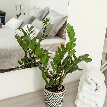 Stylish 2bdr Unit In Sliema! Near Valletta Ferry! *