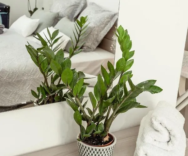 Stylish 2bdr Unit In Sliema! Near Valletta Ferry! *